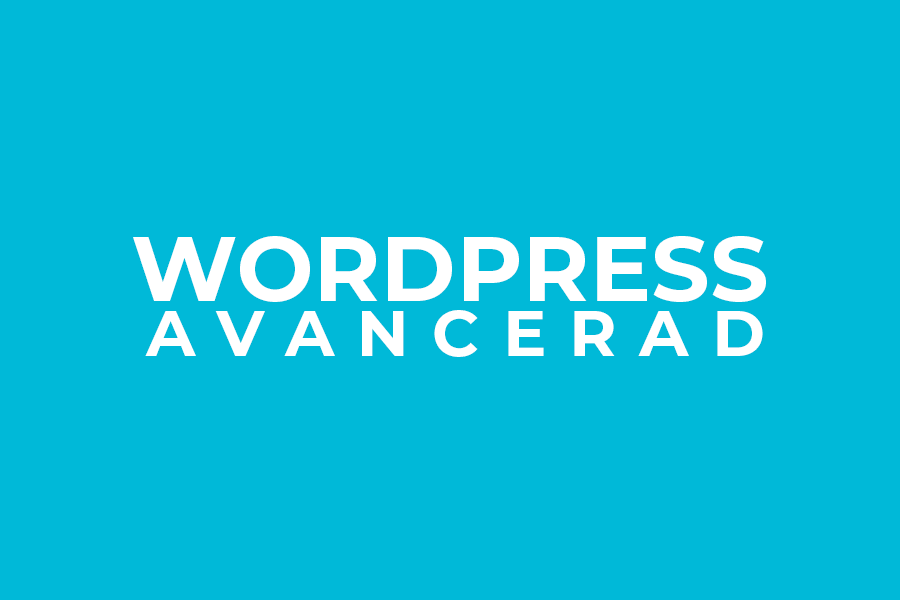 WordPress – Avancerad